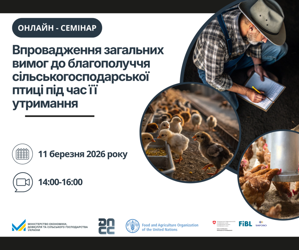 Чоловік у ковбойському капелюсі та клітчастій сорочці, що сидить на корточках і пише на блокноті, спостерігає за курчатами, які їдять із годівниці в сільському господарстві; поруч розташоване зображення курей, що харчуються із іншої годівниці.