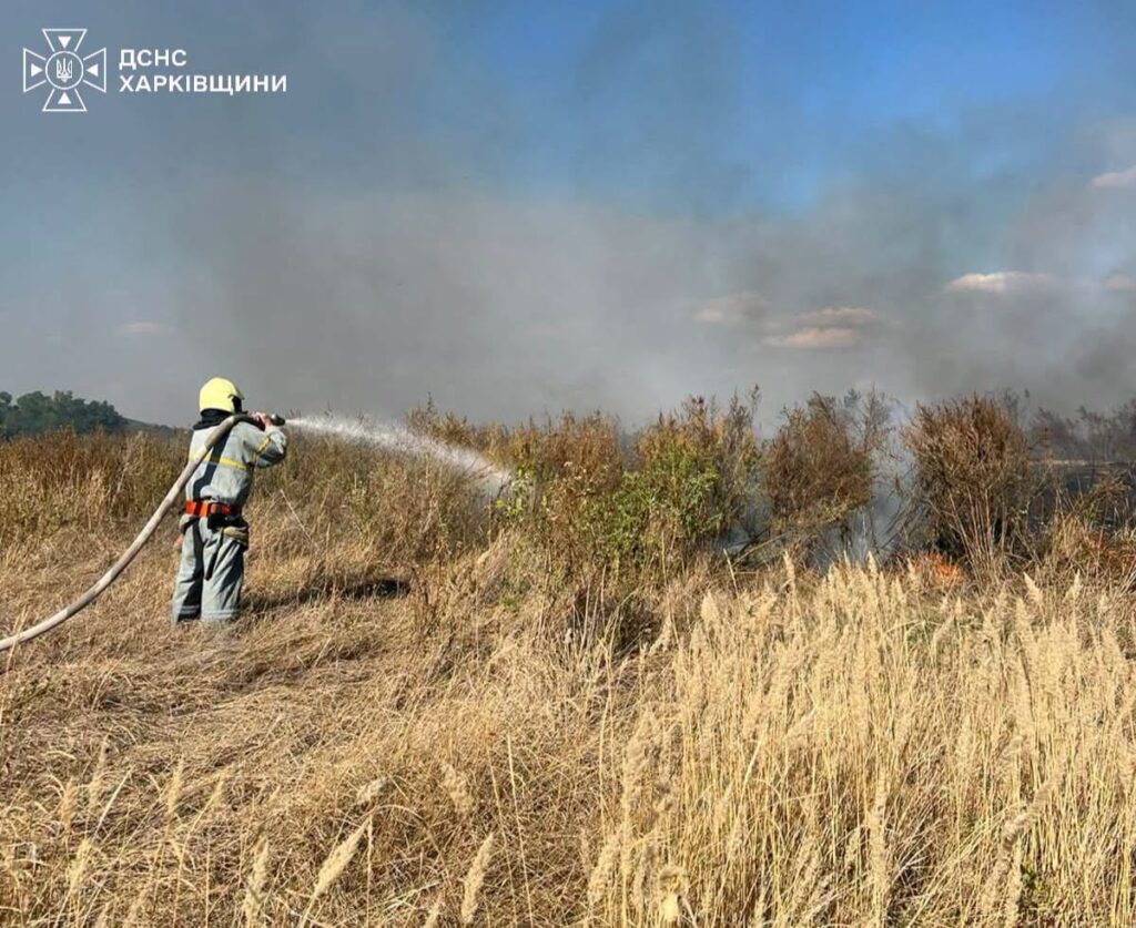 Пожежник ДСНС Харківщини поливає воду на суху траву під час ліквідації пожежі.