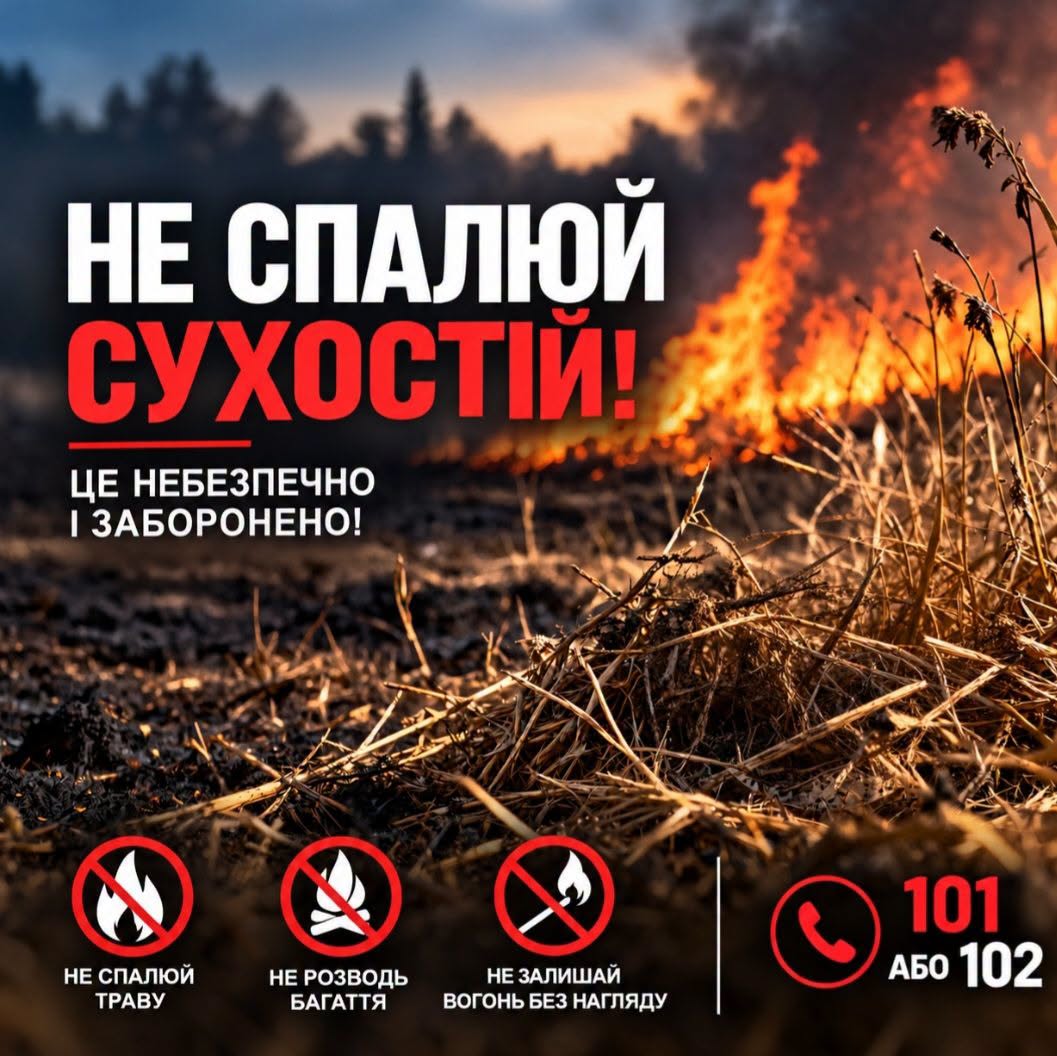 Інформаційний плакат із закликом «НЕ СПАЛЮЙ СУХОСТІЙ!» на тлі палаючої сухої трави, що попереджає про небезпеку та заборону підпалів.