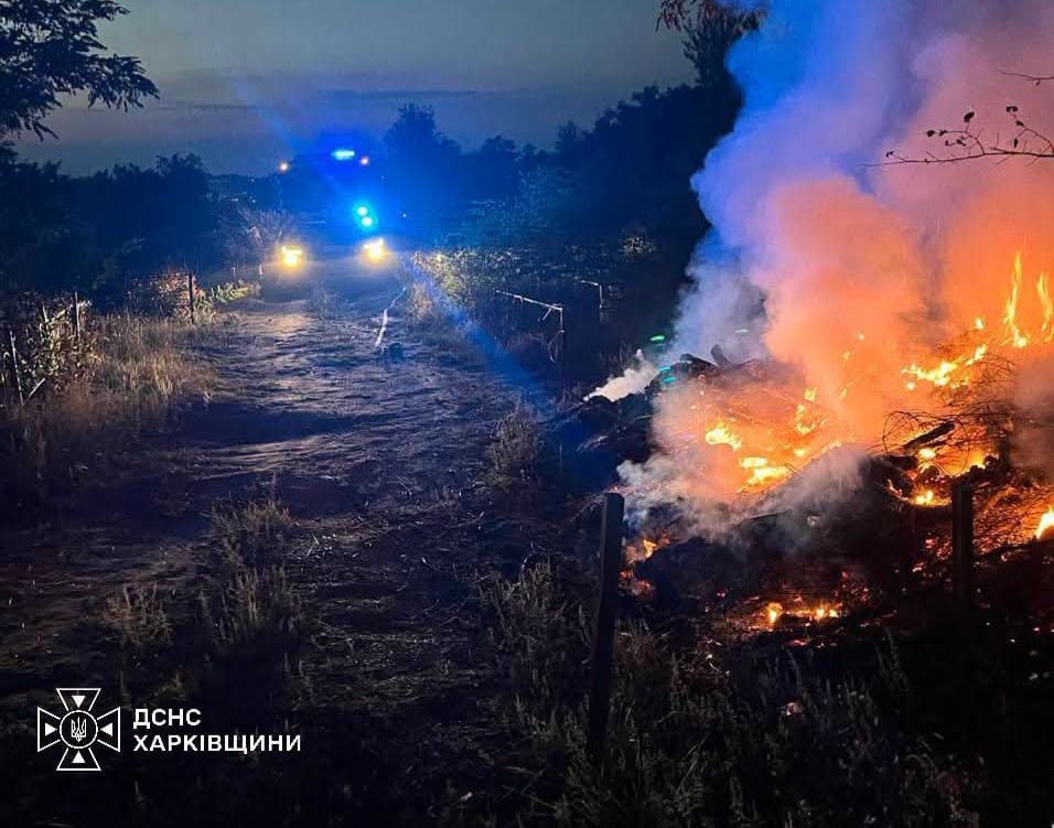 Нічний пожежний інцидент у Харківській області: на передньому плані горять дерева та сміття, а на задньому плані видно пожежну машину з синіми маячками та логотип ДСНС.
